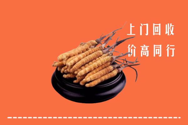 高价求购：承德县回收散虫草
