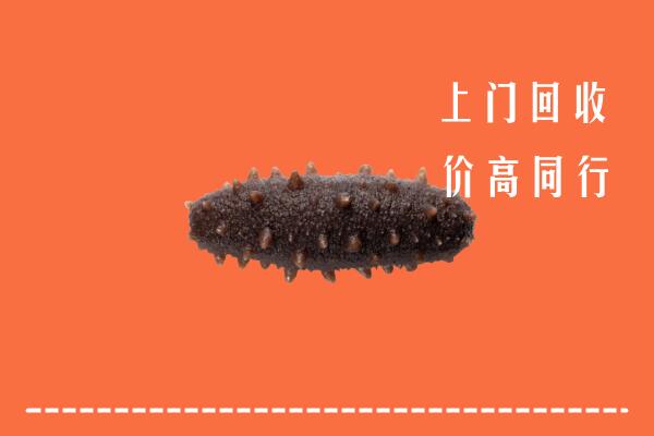 高价求购：承德县回收海参
