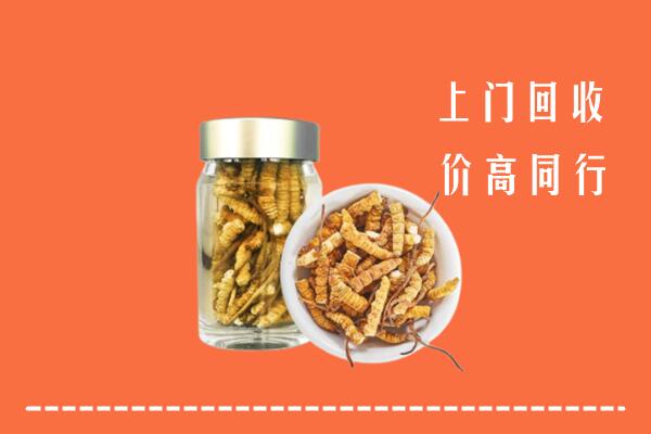 承德县回收冬虫夏草